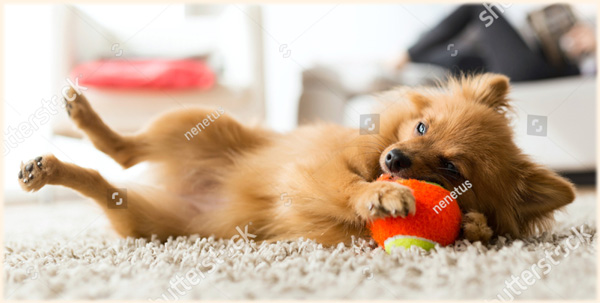 ライフアシストクラブ